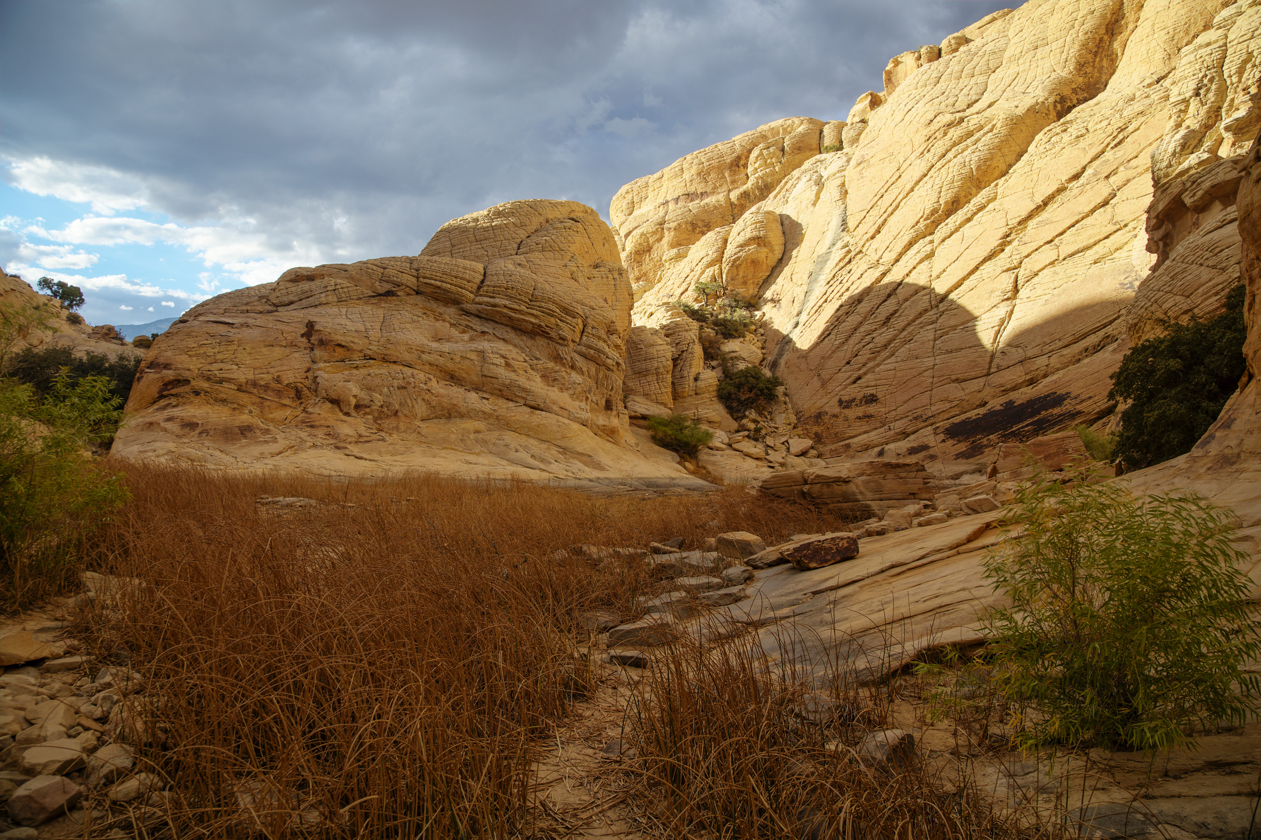 Red Rock Canyon National Conservation Area, NV BUREAU OF LAND MANAGEMENT